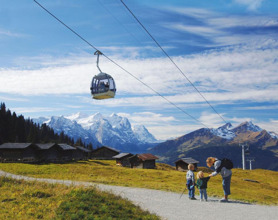 Hotel Meiringen Bagian luar foto